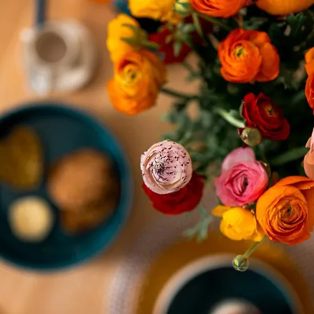 Apartment Silvia's *