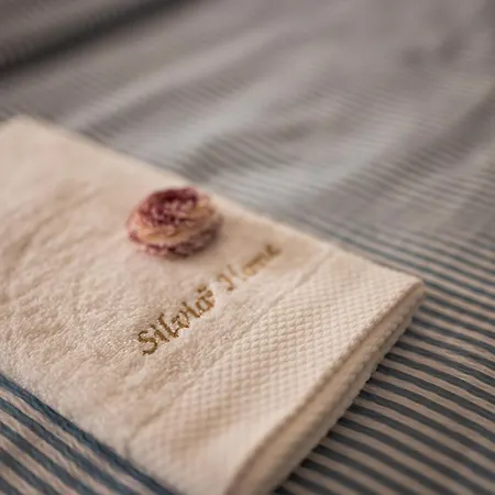 Silvia's Apartamento *